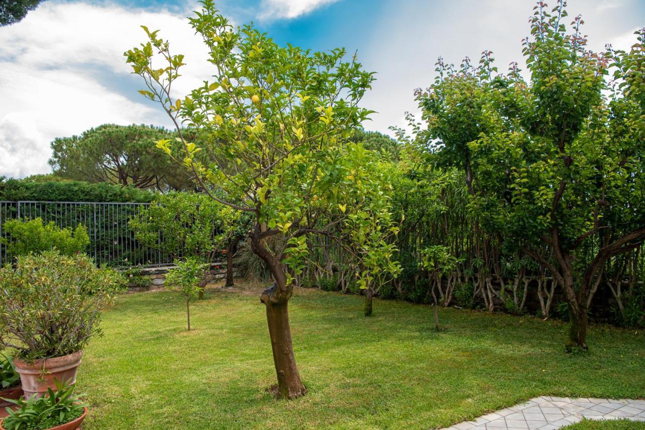Magnificent Villa 산레모 외부 사진